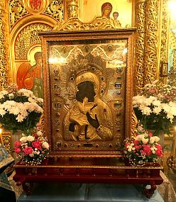 В Воронеж привезут&hellip;